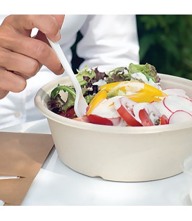 Bol salade bagasse emballage biodégradable
