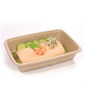 barquette bagasse rectangulaire vente a emporter salades snacks